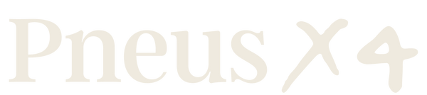 Pneus X 4